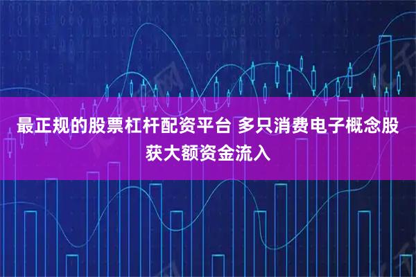 最正规的股票杠杆配资平台 多只消费电子概念股获大额资金流入