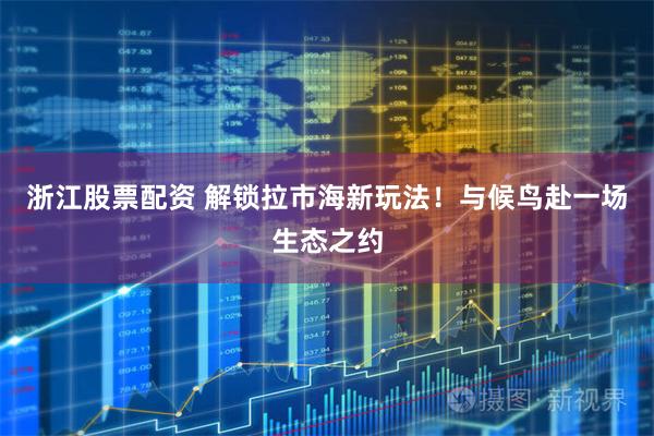 浙江股票配资 解锁拉市海新玩法！与候鸟赴一场生态之约